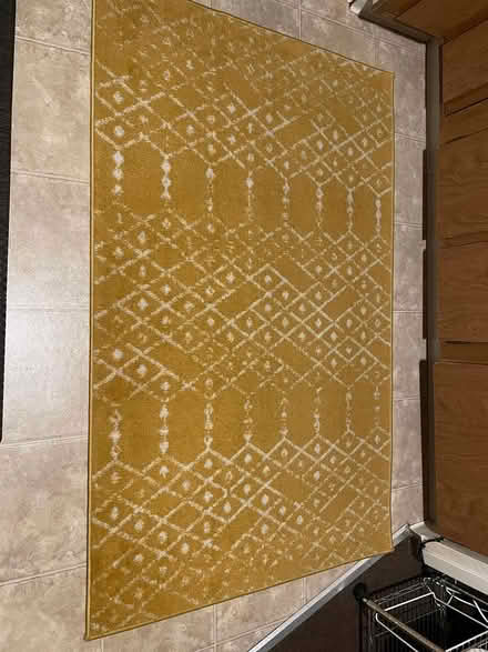 Photo of free Area Rug (Mill Valley) #1