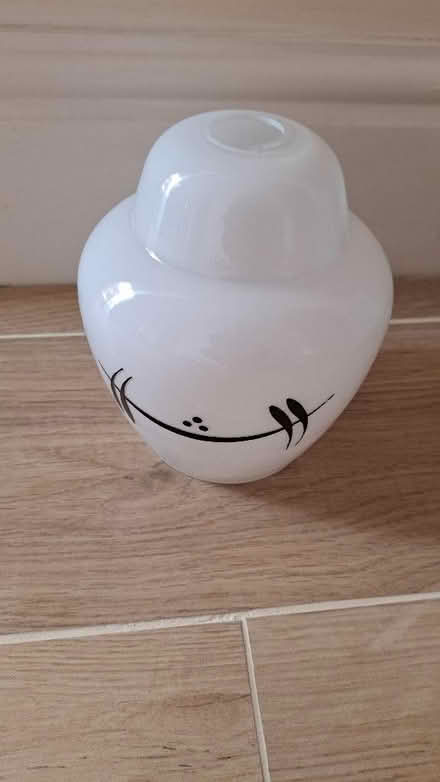 Photo of free Ceiling lampshade (Saracen's Head PE12) #1