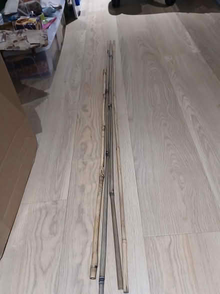 Photo of free 4 bamboo canes (E3) #1