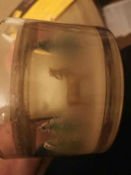 Photo of free Gell Pine scented candle holders (Totteridge HW HP13) #1