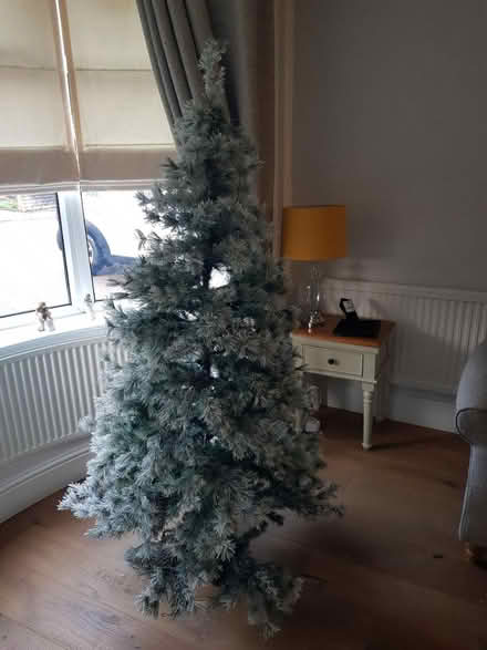 Photo of free 6' Xmas tree (Mansfield Ng18) #1