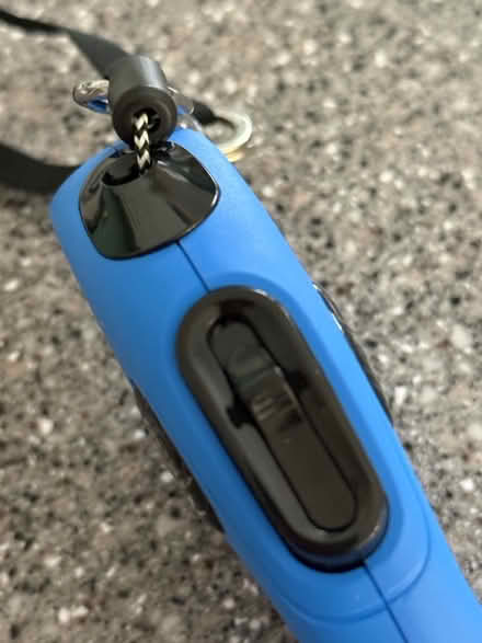 Photo of free Flexi Cat Lead (BH22 8) #2