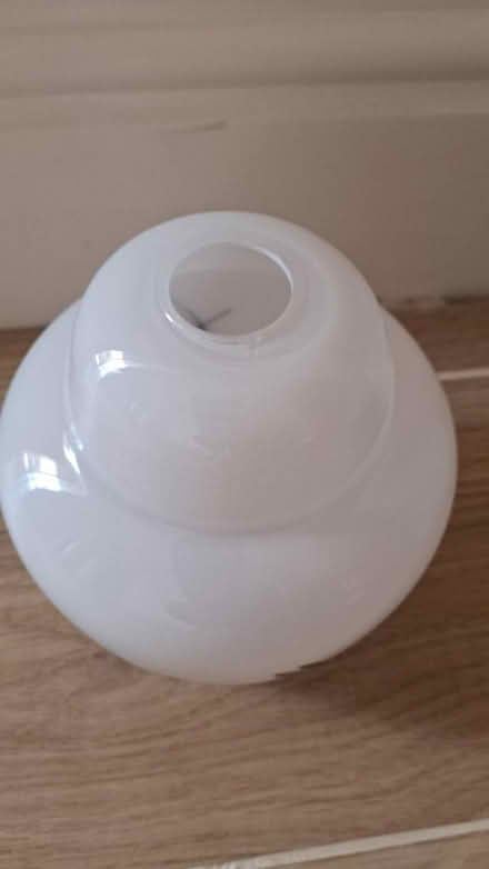 Photo of free Ceiling lampshade (Saracen's Head PE12) #2
