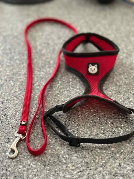 Photo of free Cat Harness and Lead (BH22 8) #1