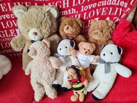 Photo of free Selection of teddy bears (Salfords RH1) #1