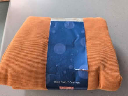 Photo of free Tripp Teapp cushion for child's seat (Hove BN3) #1