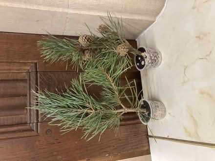 Photo of free Candle making kit (Walton Manor OX2) #2