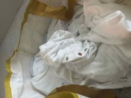 Photo of free Clean new born baby boy clothes (Clare Street area) #3
