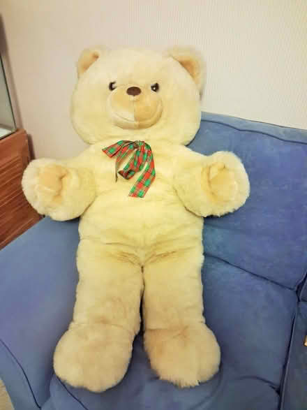 Photo of free Giant teddy bear (Sandhurst GU47) #1