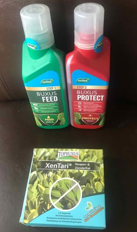 Photo of free Box hedge treatments (Woodlands Av., Sidcup DA15) #1