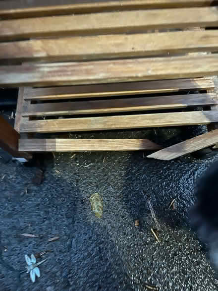 Photo of free Small butchers block (Harborne B17) #4