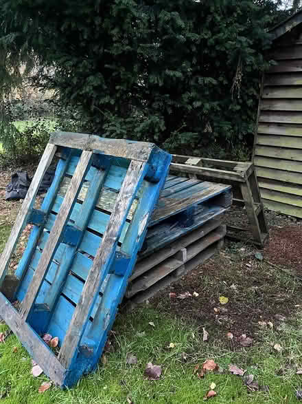 Photo of free Pallets (Penn) #4