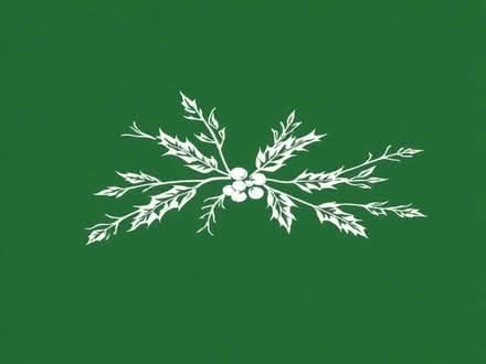 Photo of free Holly branches (Surrenden BN1) #1