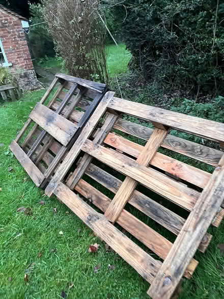 Photo of free Pallets (Penn) #3