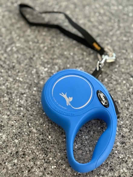 Photo of free Flexi Cat Lead (BH22 8) #3