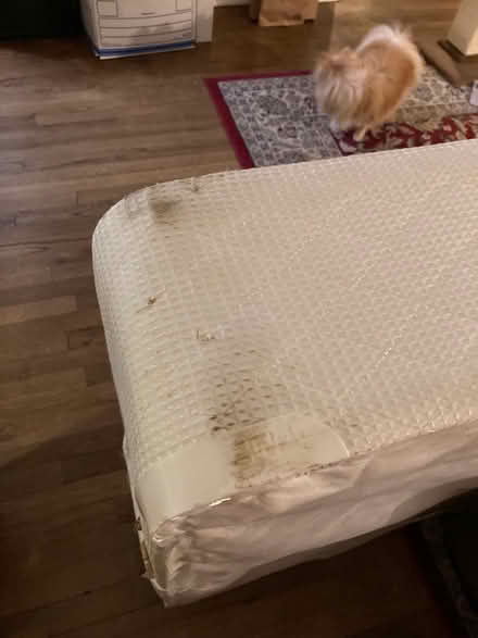 Photo of free Twin box spring mattress (North Seattle 145th & 15th) #4