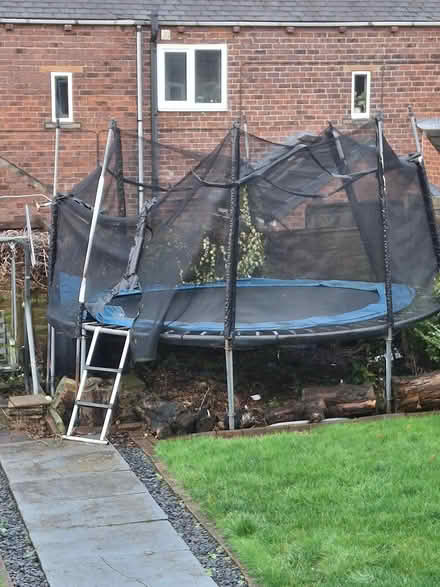 Photo of free 14 ft trampoline (Netherton WF4) #1