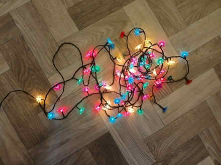 Photo of free Christmas Lights (electric) (Sale M33) #1