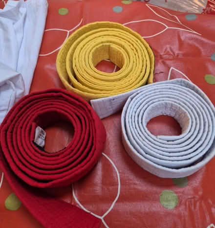 Photo of free Judo suit and 3 belts (Bromborough CH62) #1