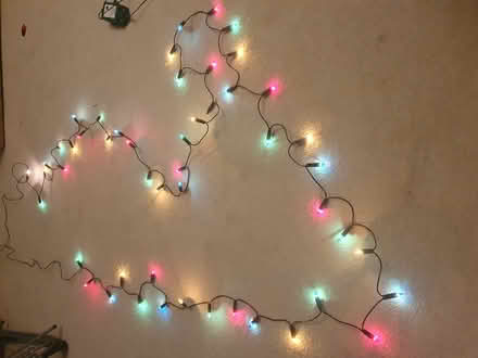 Photo of free Christmas lights (Malvern WR14) #2