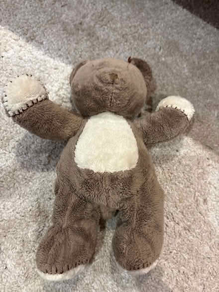 Photo of free Teddy bear (Beverstone GL8) #2