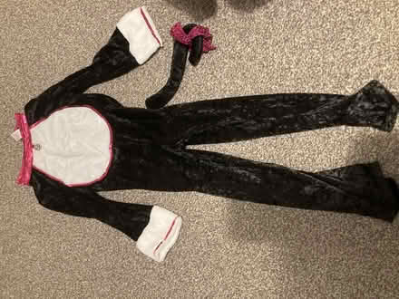 Photo of free Cat costume age 5-6 (Hampton Hill TW11) #1
