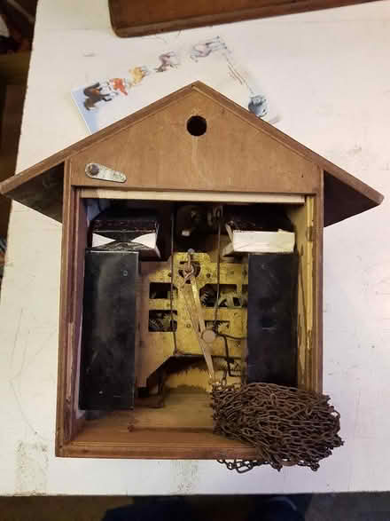 Photo of free Old Broken Cuckoo Clock (New Catton NR3) #2