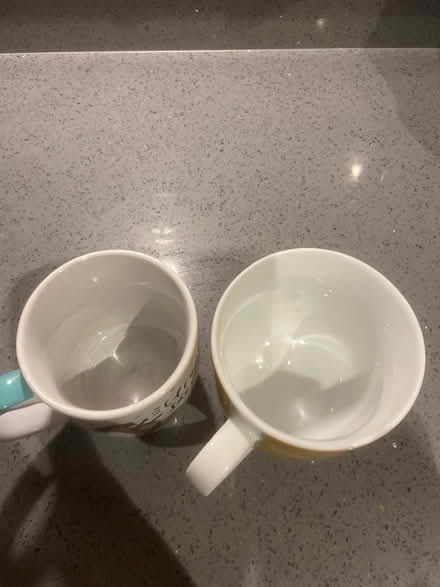 Photo of free 2 sausage dog mugs (hazel grove SK7) #4