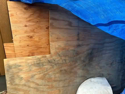 Photo of free Plywood (Carmichael) #1