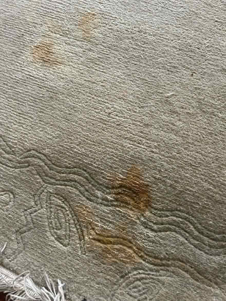 Photo of free Rug 210cm x 135cm (CR7) #2