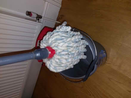 Photo of free Vileda Mop and Bucket (Lower Weston) #1