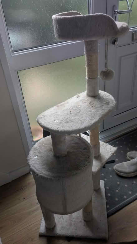 Photo of free Cat tree (CH43) #1