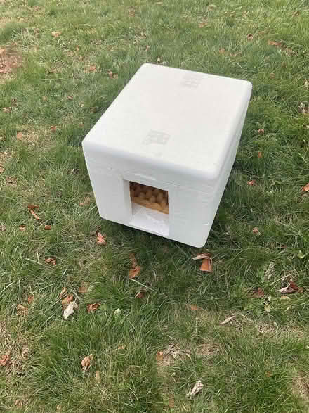 Photo of free Cat box (Brentwood) #1