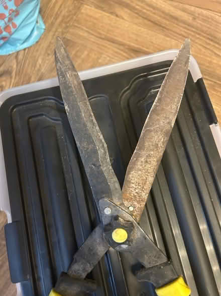 Photo of free Garden Shears (Blyth NE24) #2