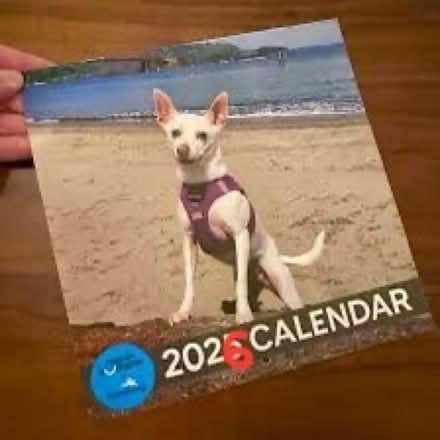Photo of 2026 Marin Humane Calendar (G street & 2nd St, San Rafael) #1