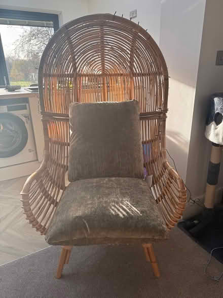 Photo of free Cocoon chair (Corner Lane, Leigh) #1