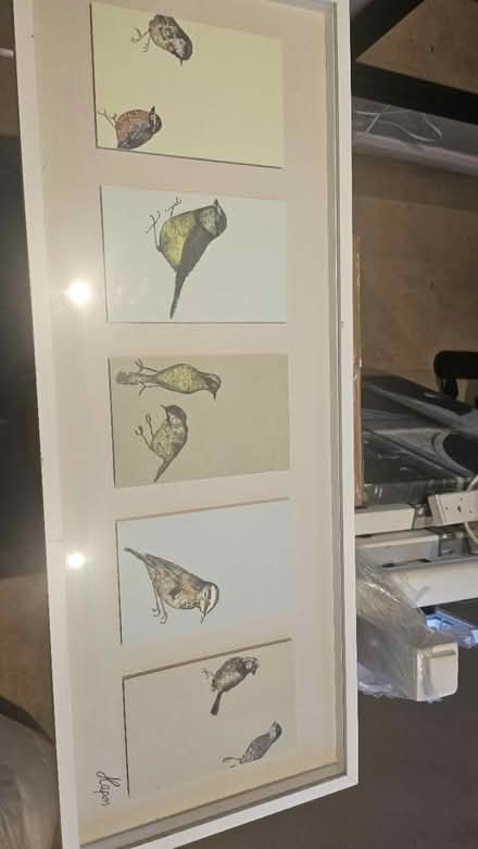 Photo of free Large bird print and frame (Ham, Richmond) #1
