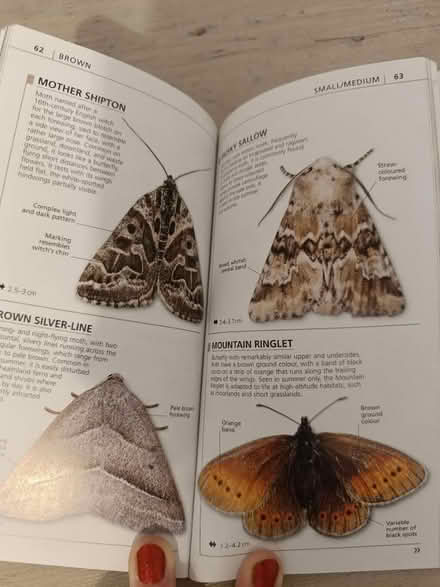 Photo of free Books for identifying things (Barming ME16 9) #3