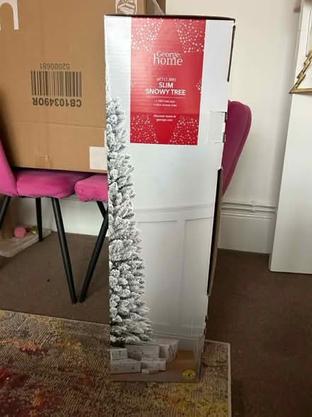 Photo of free Pencil Xmas Tree 180 cm (Brighton, Kemptown) #2