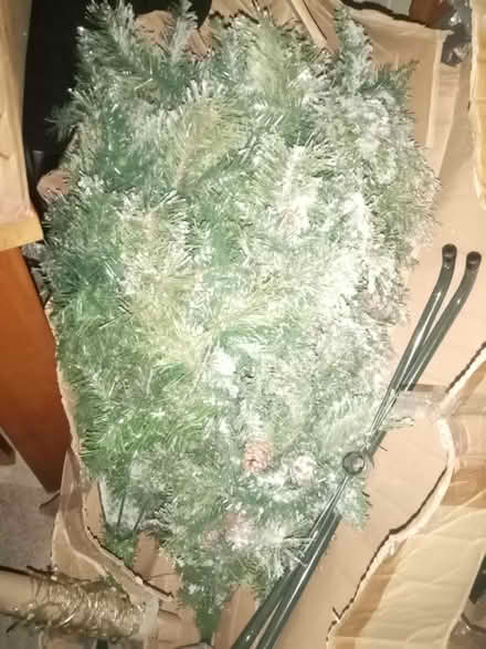 Photo of free Xmas tree (LU1) #2