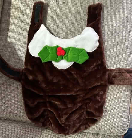Photo of free Christmas Pudding Dog Coat (Willaston CH64) #1