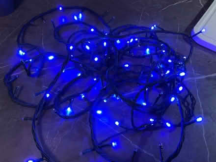 Photo of free Blue Christmas lights (East Carleton NR14) #1