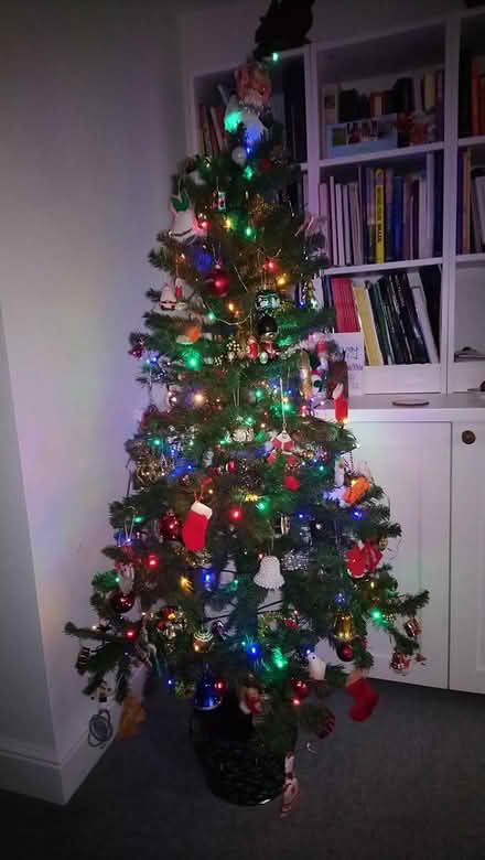 Photo of free 4ft artificial Christmas tree (Wellingborough NN8 5) #2