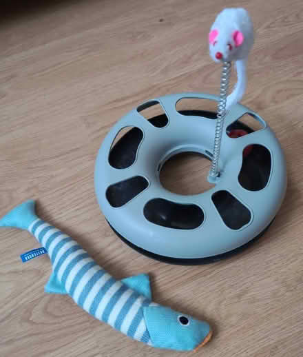 Photo of free Cat toys (Splott CF24) #1