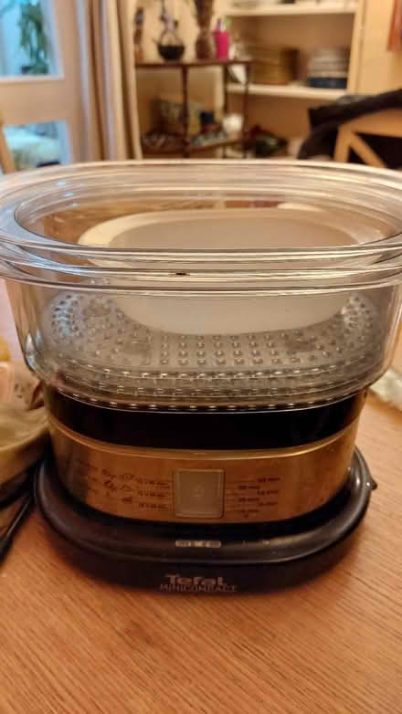 Photo of free Food steamer (North Abingdon OX14) #1
