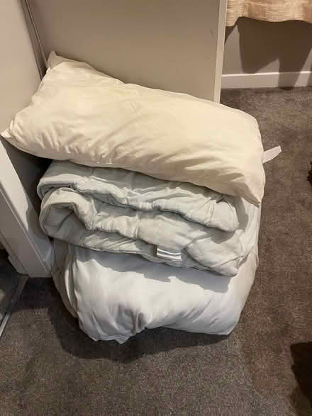 Photo of free Single duvets and pillow (Ormiston, East Lothian) #1