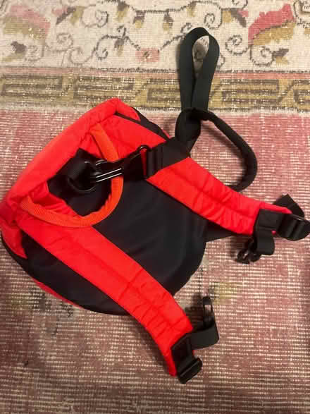 Photo of free Toddler bag with harness ladybird (Wye (TN25)) #3