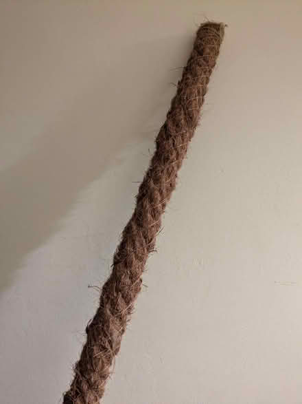 Photo of free 'Moss' pole for houseplants (Moseley, Birmingham, B13) #1
