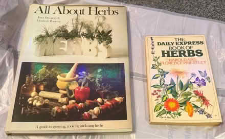 Photo of free Old books- see description (Canvey Island) #1