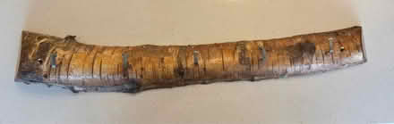 Photo of free Wall hanging hooks on Birch log (Harpenden) #1